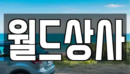 경기도 안성시 중고차 전문 월드상사