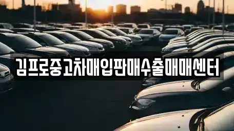 경기도 안성시 중고차매입 전문 김프로중고차매입판매수출매매센터