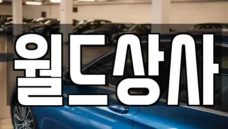 경기도 안성시 현수동 중고차매매 전문 월드상사