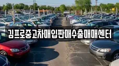 경기도 안성시 현수동 중고차매입 전문 김프로중고차매입판매수출매매센터