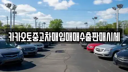 경기도 안성시 현수동 중고차매입 전문 카카오토중고차매입매매수출판매시세