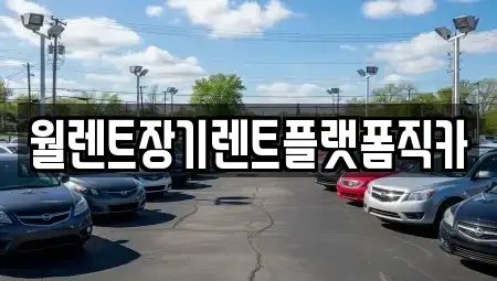 경기도 양주시 어둔동 장기렌트카 전문 월렌트장기렌트플랫폼직카