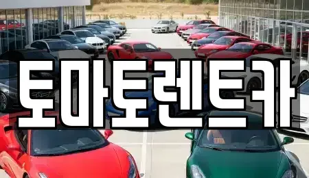 경기도 양평군 단월면 렌트카 전문 토마토렌트카