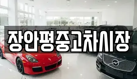 경기도 양평군 단월면 중고차 전문 장안평중고차시장
