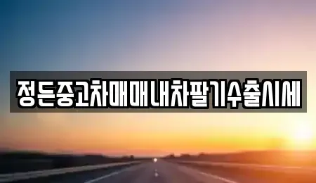 경기도 여주시 매룡동 중고차매매 전문 정든중고차매매내차팔기수출시세