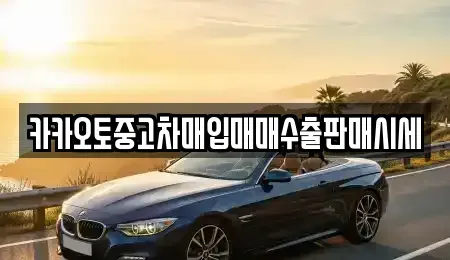 경기도 연천군 왕징면 단기렌트카,중고차매입,중고차매매,중고차,렌트카,장기렌트카