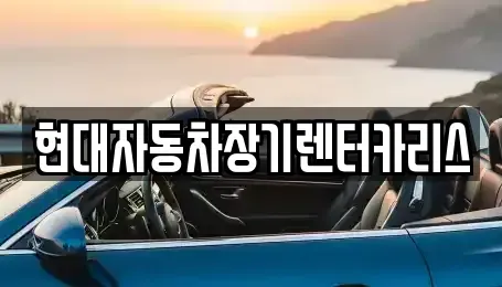 경기도 의왕시 오전동 장기렌트카 전문 현대자동차장기렌터카리스