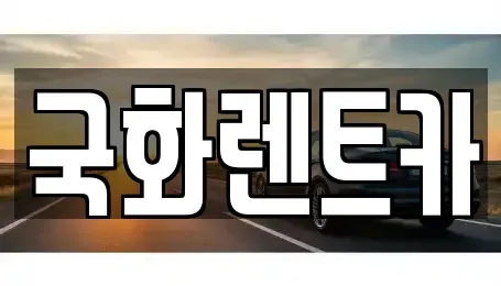 경기도 의정부시 의정부동 렌트카 전문 국화렌트카