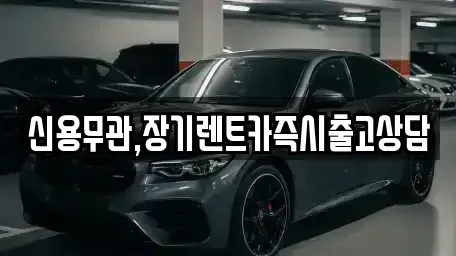 경기도 의정부시 의정부동 장기렌트카 전문 신용무관,장기렌트카즉시출고상담