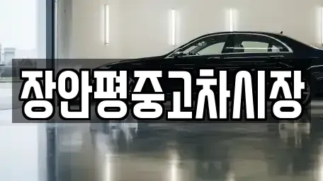 경기도 포천시 가산면 중고차매매 전문 장안평중고차시장