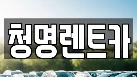 경기도 화성시 단기렌트카 전문 청명렌트카