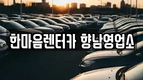 경기도 화성시 단기렌트카 전문 한마음렌터카 향남영업소