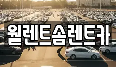 경기도 화성시 비봉면 렌트카 전문 월렌트솜렌트카