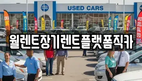 경기도 화성시 비봉면 렌트카 전문 월렌트장기렌트플랫폼직카