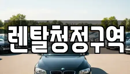 경기도 화성시 비봉면 장기렌트카 전문 렌탈청정구역