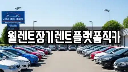 경기도 화성시 장기렌트카 전문 월렌트장기렌트플랫폼직카