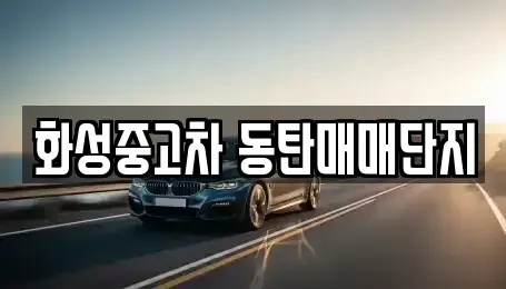 경기도 화성시 중고차 전문 화성중고차 동탄매매단지