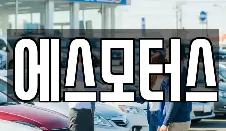 경남 창원시 마산합포구 신월동 중고차 전문 에스모터스