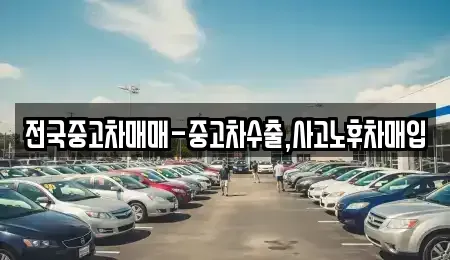 경남 창원시 마산합포구 신월동 중고차매입 전문 전국중고차매매-중고차수출,사고노후차매입