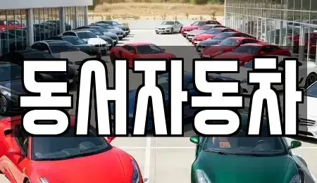 경남 창원시 의창구 사화동 중고차 전문 동서자동차