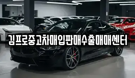 경남 창원시 진해구 중평동 중고차 전문 김프로중고차매입판매수출매매센터