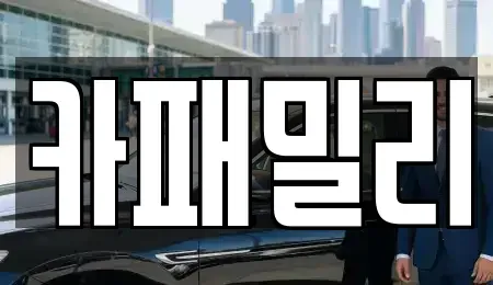 경북 성주군 선남면 중고차 전문 카패밀리