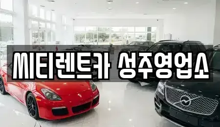 경북 성주군 성주읍 렌트카 전문 씨티렌트카 성주영업소