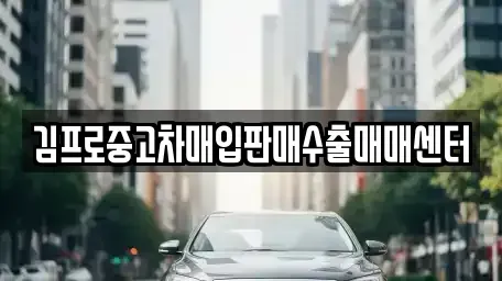 경북 성주군 성주읍 단기렌트카,중고차매입,중고차매매,중고차,렌트카,장기렌트카