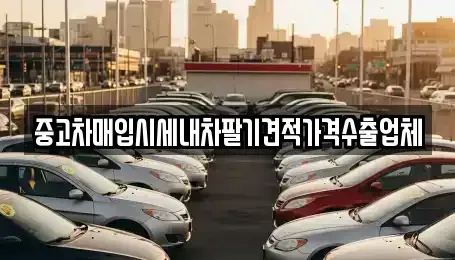 경북 성주군 성주읍 중고차매입 전문 중고차매입시세내차팔기견적가격수출업체