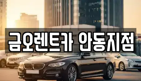 경북 안동시 정상동 렌트카 전문 금오렌트카 안동지점