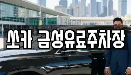 경북 안동시 정상동 렌트카 전문 쏘카 금성유료주차장