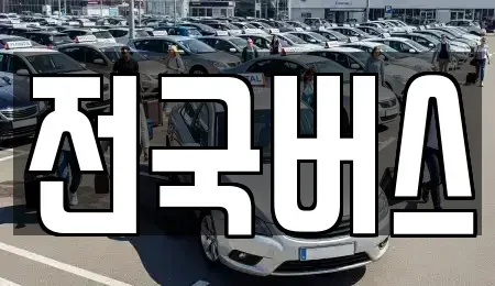 경북 영천시 본촌동 중고차 전문 전국버스