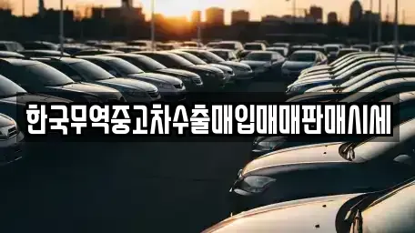 경북 영천시 언하동 중고차매입 전문 한국무역중고차수출매입매매판매시세