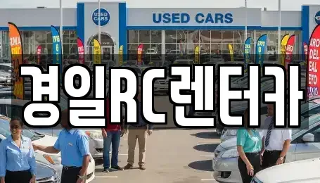 경북 영천시 화룡동 렌트카 전문 경일RC렌터카