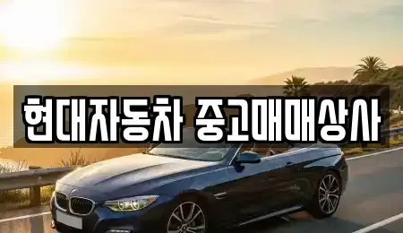 경북 영천시 화룡동 장기렌트카,중고차,렌트카,단기렌트카,중고차매입,중고차매매
