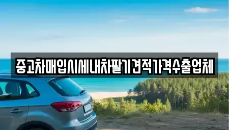 경북 영천시 화룡동 중고차매입 전문 중고차매입시세내차팔기견적가격수출업체
