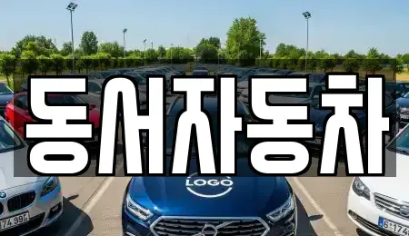 경북 포항시 북구 기계면 중고차 전문 동서자동차