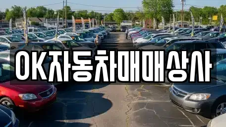경상남도 남해군 고현면 중고차 전문 OK자동차매매상사