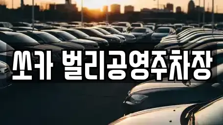 경상남도 사천시 봉남동 렌트카 전문 쏘카 벌리공영주차장