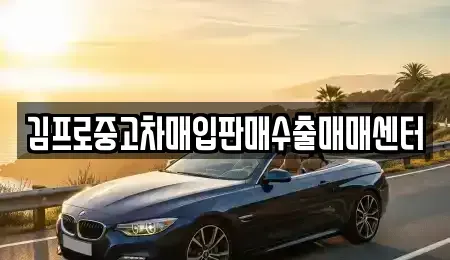 경상남도 진주시 대안동 중고차 전문 김프로중고차매입판매수출매매센터