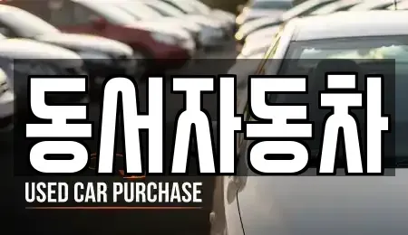 경상남도 진주시 대안동 중고차 전문 동서자동차
