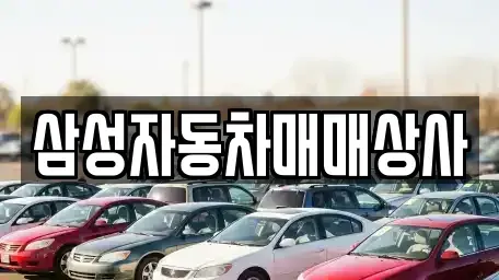 경상남도 진주시 대안동 중고차 전문 삼성자동차매매상사