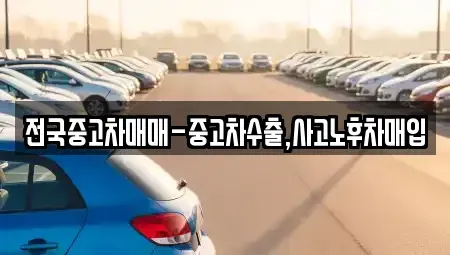경상남도 진주시 대안동 중고차 전문 전국중고차매매-중고차수출,사고노후차매입