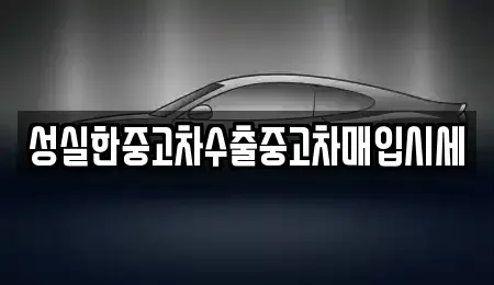 경상남도 진주시 대안동 중고차매입 전문 성실한중고차수출중고차매입시세