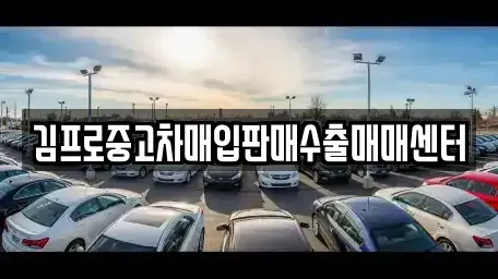 경상남도 창원시 마산합포구 반월동 중고차매입 전문 김프로중고차매입판매수출매매센터