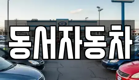 경상남도 창원시 의창구 명곡동 중고차 전문 동서자동차