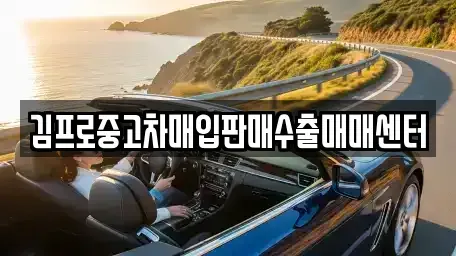 경상남도 창원시 진해구 대죽동 중고차 전문 김프로중고차매입판매수출매매센터