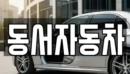 경상남도 창원시 진해구 평안동 중고차매매 전문 동서자동차