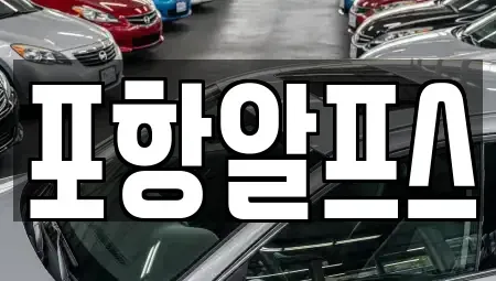 경상북도 상주시 부원동 렌트카 전문 포항알프스