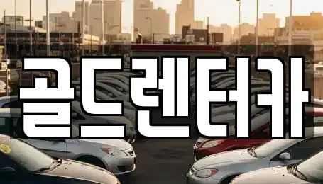 경상북도 안동시 신안동 렌트카 전문 골드렌터카